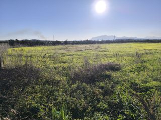 FINCA RUSTICA O CAMPO ALGEMESI