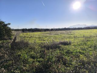 FINCA RUSTICA O CAMPO ALGEMESI