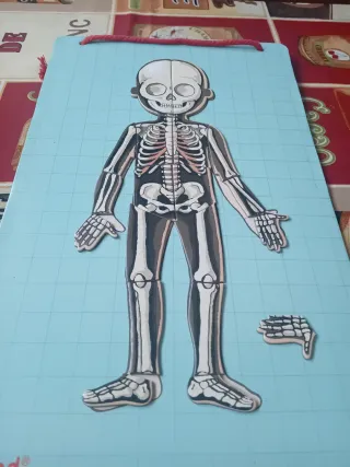 Puzzle Cuerpo Humano Magnético Janod