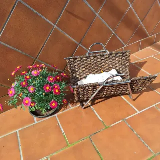 Revistero Mimbre y Metal