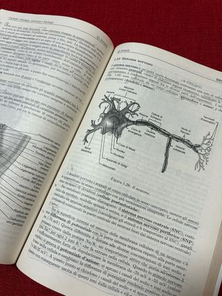 Artquiz Studio. Test Di Ammissione A: Medicina,...