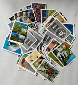 Figurine Pianta Terra Penny Market