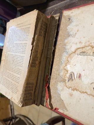 Nuevo sistema de curación natural ( Bilz )