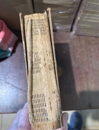 Nuevo sistema de curación natural ( Bilz )