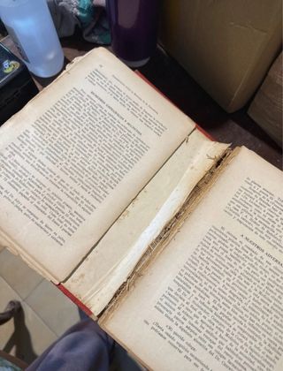 Nuevo sistema de curación natural ( Bilz )