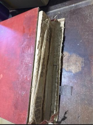 Nuevo sistema de curación natural ( Bilz )