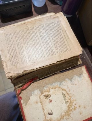 Nuevo sistema de curación natural ( Bilz )