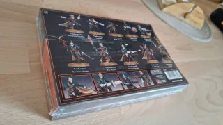 Corsairs Voidscarred (Sin Abrir)