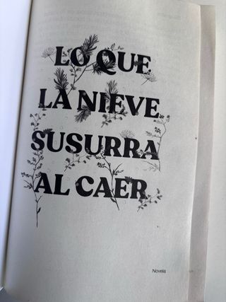 Lo que la nieve susurra al caer