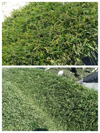 Césped artificial reciclado