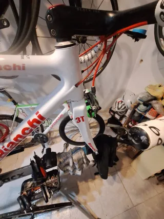 Cuadro Carbono Bianchi Talla 51