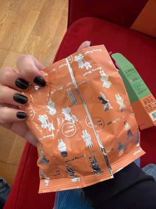 Sonny Angel Hipper Fechado Colecionável