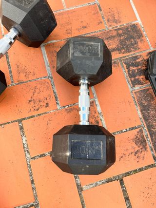Mancuerna Rogue 20kg