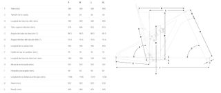 BICICLETA ELECTRICA FOCUS VAM2 9.8 2024
