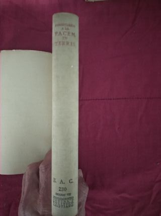 Comentarios a la PÀCEM IN TERRIS