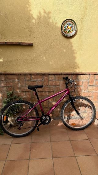 Bicicleta MTB 24 Infantil/Juvenil