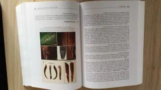 Prehistoria I: Las primeras etapas de la humanidad