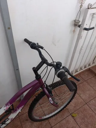 Bicicleta morada y blanca