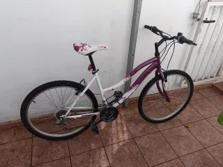 Bicicleta morada y blanca