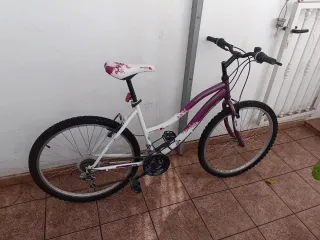 Bicicleta morada y blanca