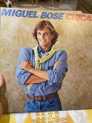 Lote 10 Vinilos LP Pop Rock Internacional