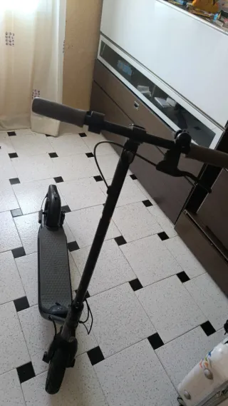 Ninebot F2 Pro Patinete Eléctrico