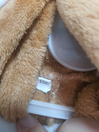 Disfraz ardilla voladora