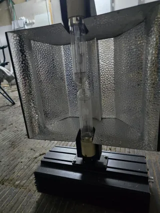 9 Foco Cultivo Solux Selecta 2