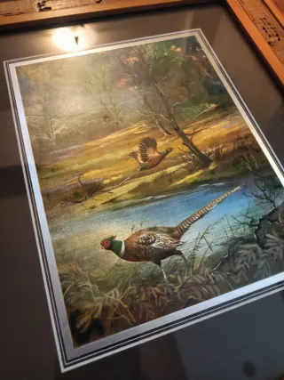 2 quadri con cornice in sughero e legno