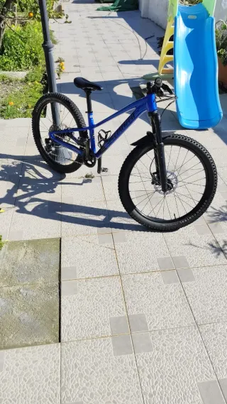 Bicicleta Specialized Rockhopper Expert 24