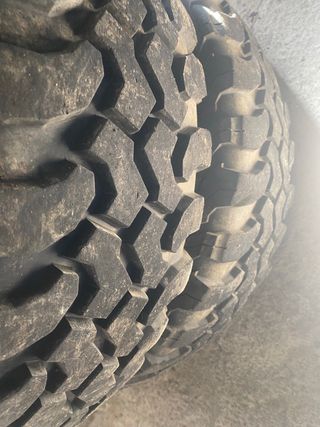 Galloper Super Exceed 2000