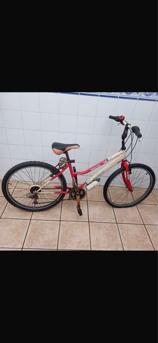 Bicicleta de montaña