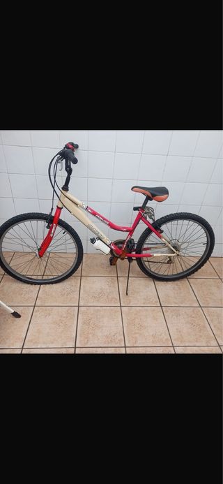 Bicicleta de montaña