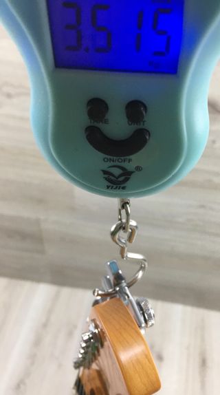 Sire Larry Carlton J5