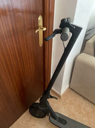 Patinete Eléctrico Xiaomi