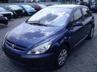 Peugeot 307 2002