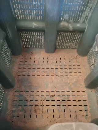 Contenedor plástico para frutas