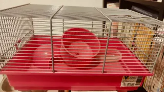 Jaula Hámster/Roedores