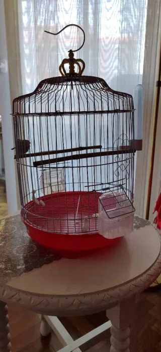 Jaula para canario con accesorios
