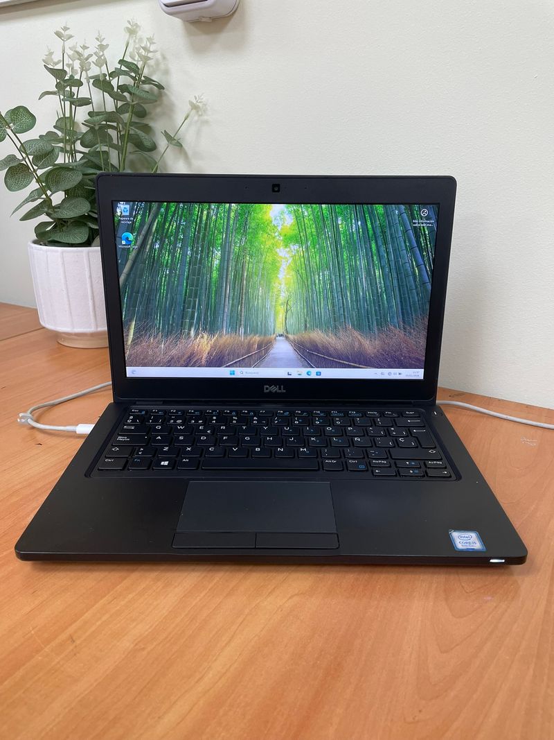 Dell Latitude 5290 -79317-