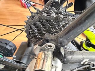 Bici da Strada Donna Scott Speedster