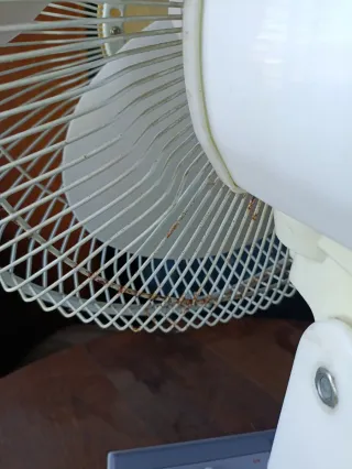 Ventilador de mesa Mega Lar