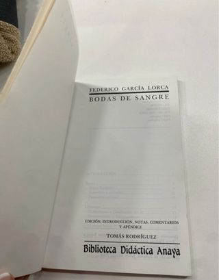 Bodas de sangre / Blood Wedding (Spanish Edition)