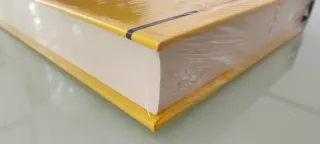 Verdadera y falsa reforma en la Iglesia