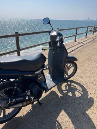 Honda Scoopy SH 50cc azul oscuro