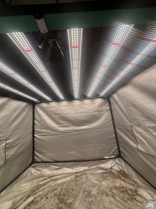 Foco LED Grow Light solo un uso