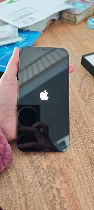 iPhone 12 Pro Max Blu