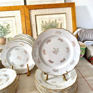 Lote 6 Platos Llanos Vintage Amandinoise Limoges