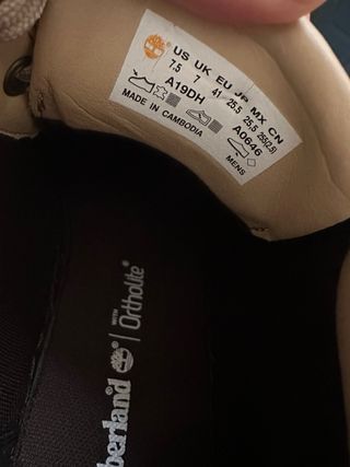 Botas Timberland Hombre Beige/Marrón