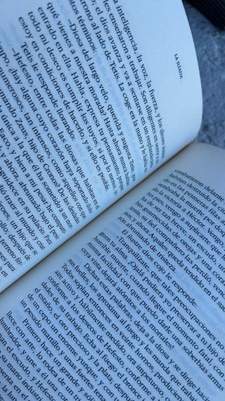 La Ilíada - Homero (Vol.II)